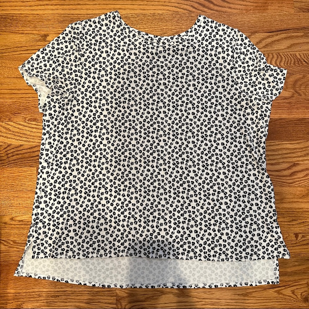 Alfani top
